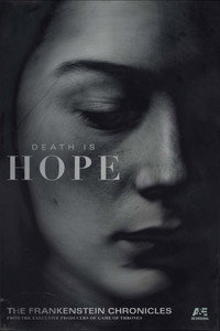 Постер сериала «Хроники Франкенштейна (2015-2017)» — (7 из 35)