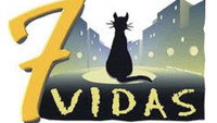 «7 жизней (1999-2006)» — обои к сериалу #2