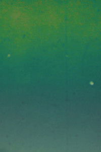 Imagem do Filme The Visit