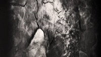 «An Excavation of Us (2017)» — обои к мультфильму #1