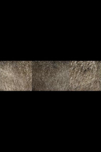 Nebraska Grasses Veils