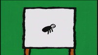 Fleas