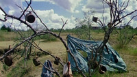 Обои к фильму «Техасская резня бензопилой (1974)» — (79 из 90)