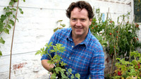 Glasshouses and Shrubs