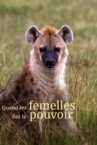 Quand les femelles ont le pouvoir - Le matriarcat dans le monde animal (2023)