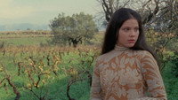 «Самая красивая жена (1970)» — обои к фильму #2