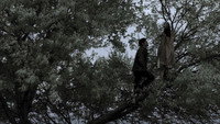 «1000 грез (2021)» — обои к фильму #1