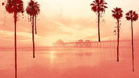 «The Real Murders of Orange County (2020-2022)» — обои к сериалу #2
