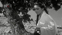 «Девушка и дуб (1955)» — обои к фильму #2