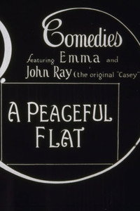 Постер к фильму A Peaceful Flat (1917)