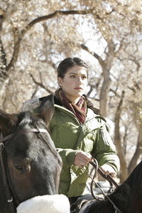 Постер сериала «Дикий огонь (2005-2008)» — (8 из 16)