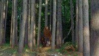 «Викинги: Сага о новых землях (2004)» — обои к фильму #1