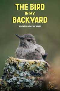 Imagem do Filme The Bird in My Backyard