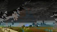 Folge 50