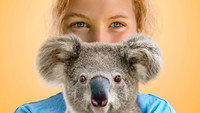 «Izzy's Koala World (2020)» — обои к сериалу #1