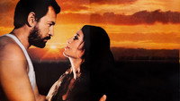 «Bir sevgi istiyorum (1984)» — обои к фильму #1
