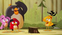 «Angry Birds: Летнее безумие (2022)» — обои к мультсериалу #8