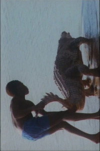 Постер фильма «Мальчик и крокодил (1991)» — (1 из 1)