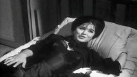 «Lel Regal Fakat (1965)» — обои к фильму #4