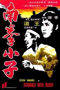 南拳小子 (1977)