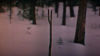 Обои к фильму «Дерсу Узала (1975)» — (17 из 30)