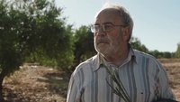 Camino de la suerte