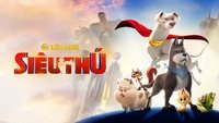 DC League of Super-Pets