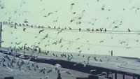 «Нет табличек на дверях (1997)» — обои к фильму #1