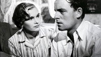 «Белая кошка (1950)» — обои к фильму #1