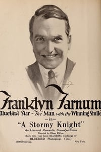 A Stormy Knight (1917)