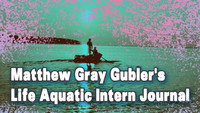«Matthew Gray Gubler's Life Aquatic Intern Journal (2005)» — обои к фильму #1