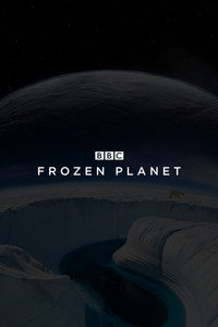 Постер сериала «BBC: Замерзшая планета (2011)» — (6 из 21)