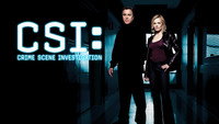 «C.S.I. Место преступления (2000-2015)» — обои к сериалу #10