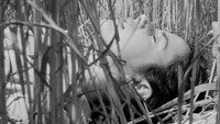 «La guerra di Valeria (2022)» — обои к фильму #1