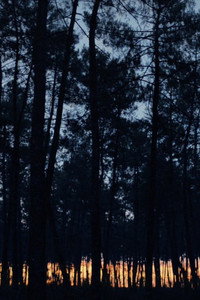 Постер фильма «Les proies (2018)» — (2 из 2)