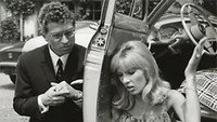 «Ревнивый как тигр (1964)» — обои к фильму #1