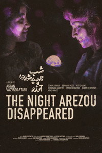 The Night Arezou Disappeared