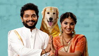 «Slum Dog Husband (2023)» — обои к фильму #5