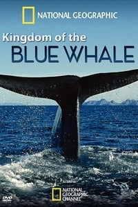 Poster de Kingdom of the Blue Whale