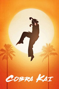Постер сериала «Кобра Кай (2018-2025)» — (20 из 146)