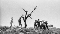«Hem Hayu Asarah (1961)» — обои к фильму #1