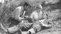 «Люби меня нежно (1956)» — обои к фильму #6
