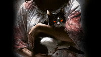 «Кот: Глаза, которые видят смерть (2011)» — обои к фильму #1