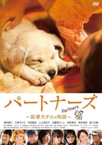 パートナーズ (2010)