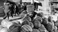 «Не та, так эта (1956)» — обои к фильму #3