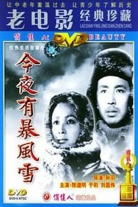 今夜有暴风雪 (1984)