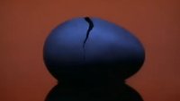 Egg
