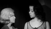 «Красные розы страсти (1966)» — обои к фильму #8