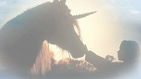 Le Mystère de la licorne