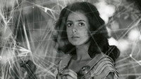 «Серебряная пряжа Каролины (1984)» — обои к фильму #1